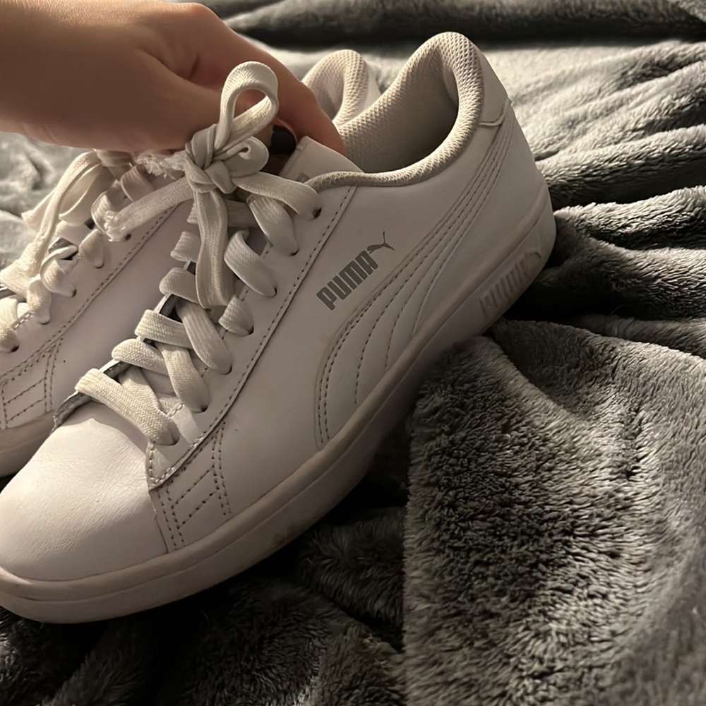 Pumas - Picture 3 of 5